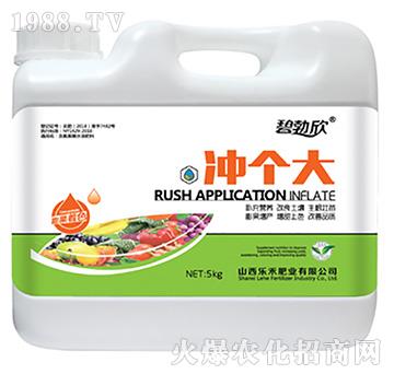 �_����-����