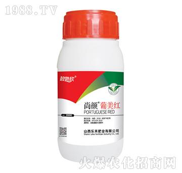 ��������t-��(l��)��