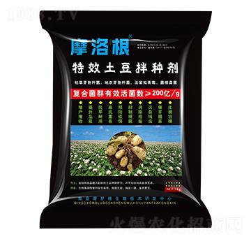 ������N��-Ħ���-���A����