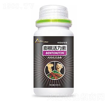 ��ˎ�Č������������-�����Ƽ�