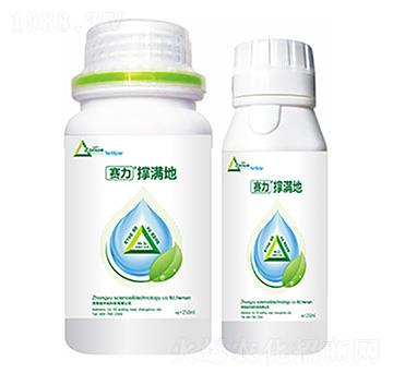 �ΝM��-�����Ƽ�