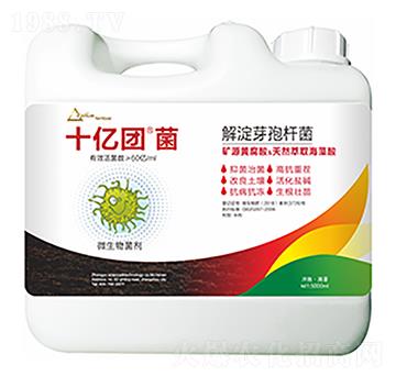 ���ѿ�ߗU��-ʮ�|�F(tu��n)��-�����Ƽ�