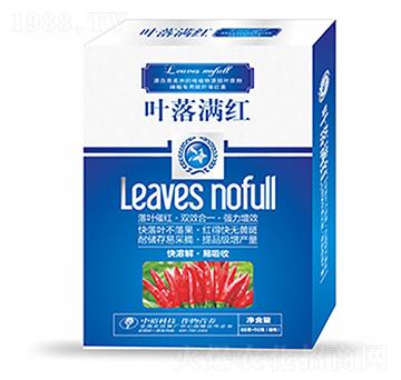 ����Ó�~��-�~��M�t-�����Ƽ�