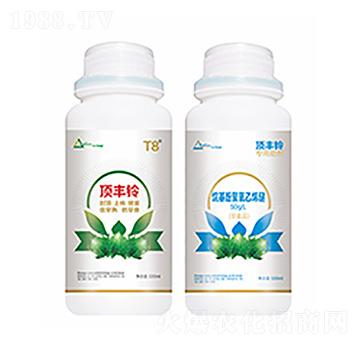 ��S�-�����Ƽ�