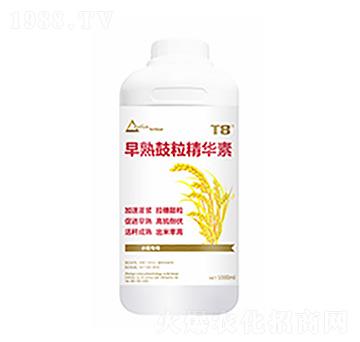 ����������A��-�����Ƽ�