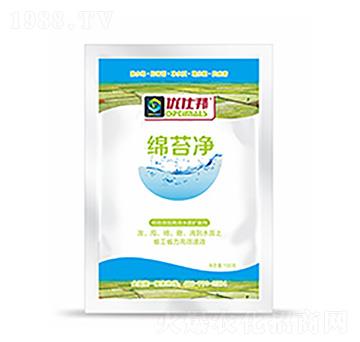 �d̦��-�����Ƽ�