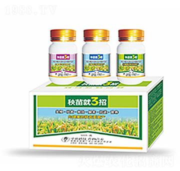 �����3��-�����Ƽ�