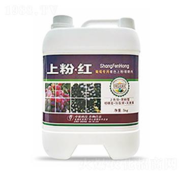 �Ϸۡ��t-�����Ƽ�