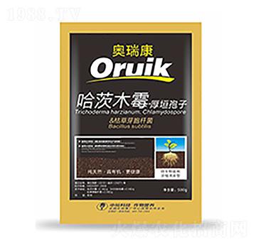 �W��-�����Ƽ�