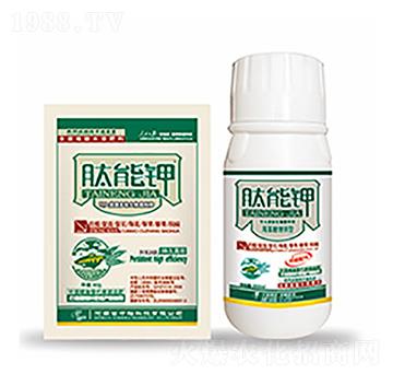 �����-�����Ƽ�