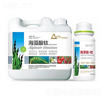 �������-�����Ƽ�