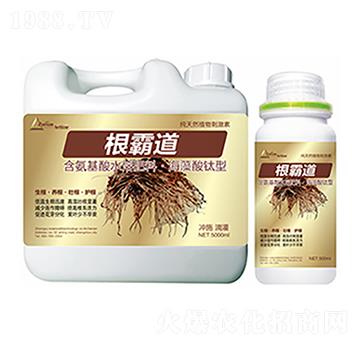 ���Ե�-�����Ƽ�