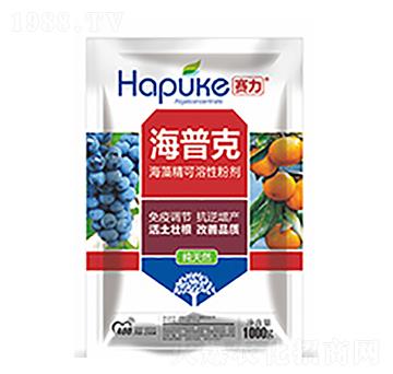 ِ�����տ�-�����Ƽ�