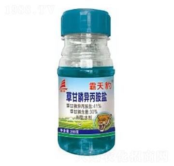 41%�ݸ�좮������}-���챪-ϲ�S��