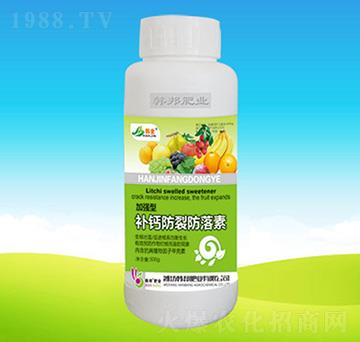 �a�}���ѷ�����-�n��ʘI(y��)