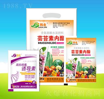 �|̦�؃�֬-�n��-�n��ʘI(y��)