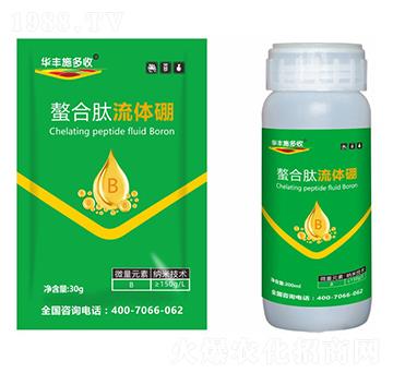 ���������w��-�A�Sʩ��