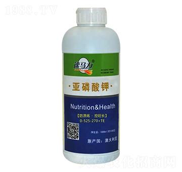 �������-���R��-�а�