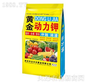 �S�������-���ƴ�