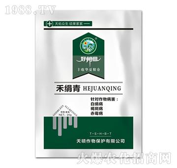 �̽���-��T����