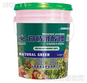 ���}�����140-140-140-�º���