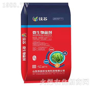 ΢�������-���K-����������