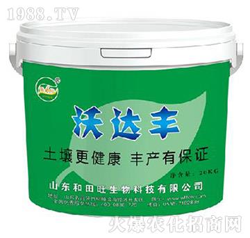 ���_(d��)�S-����������