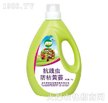 �����x(ch��ng)�����Sή-����������