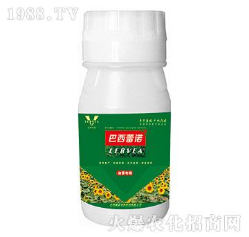 �Ϳ���(zhu��n)���~���-�������Z