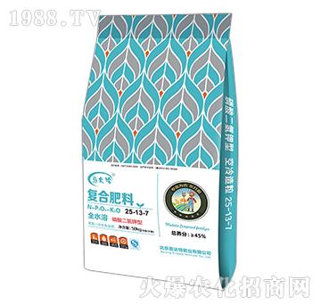 ���������͏�(f��)�Ϸ���25-13-7-�R���