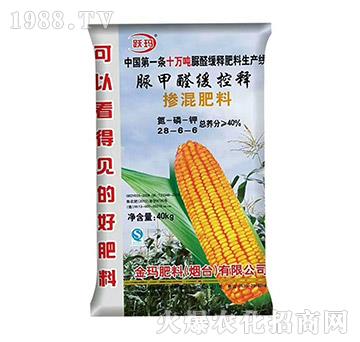 ���ȩ����ጓ������28-6-6-�S��-��