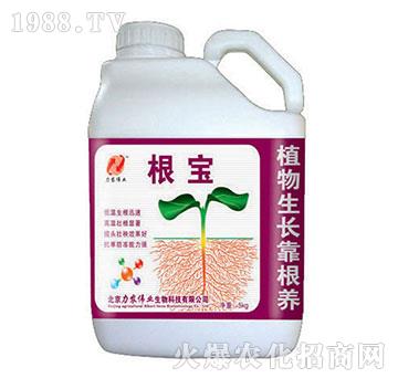 ����-���r(n��ng)���I(y��)