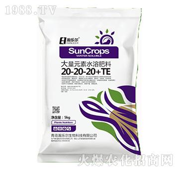 ����Ԫ��ˮ�ܷ���20-20-20+TE-嫘�(l��)��