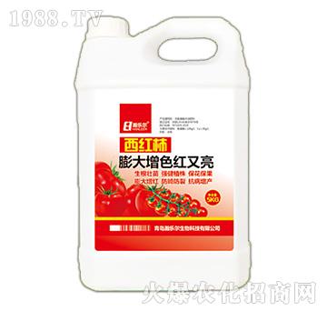 ���t�������ɫ�t����-嫘���