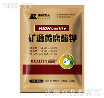 礦源黃腐酸鉀-中科化工