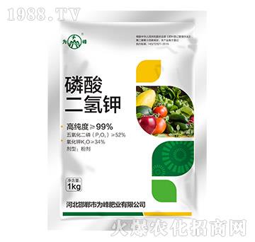 1kg��������-���