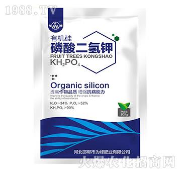 500g�ЙC(j��)���������