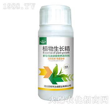 ֲ�����L(zh��ng)��-���