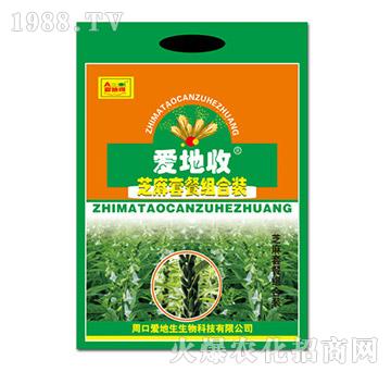 ֥���ײͽM���b-�۵���-�۵���