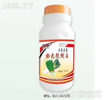 ��󿹵���-�²˴��[-��ʿ��