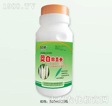 ������ֱ�L(zh��ng)-��ʿ��