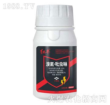 20%���衤���x(ch��ng)��-�t�S-Ӣ����