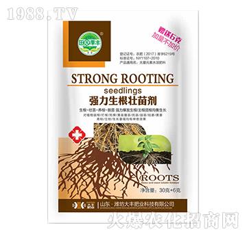 36�ˏ����������焩-��@���S-���S�ʘI(y��)