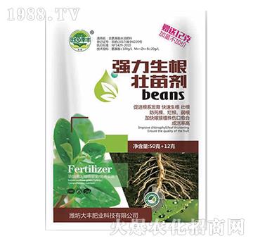 �����������焩-��@���S-���S�ʘI(y��)