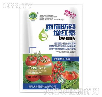 ���ѷ������t��-��@���S-���S�ʘI(y��)