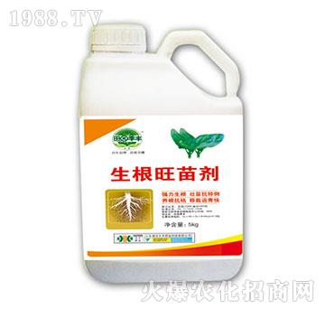 �������焩-��@���S-���S�ʘI(y��)