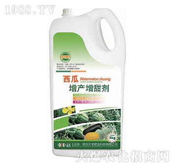 �������a(ch��n)������-��@���S-���S�ʘI(y��)