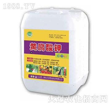 10kg�S�����-��@���S-���S�ʘI(y��)