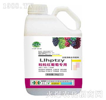 �����t���ь���-��@���S-���S�ʘI(y��)