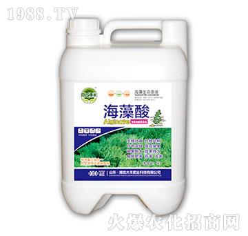 ������-��@���S-���S�ʘI(y��)